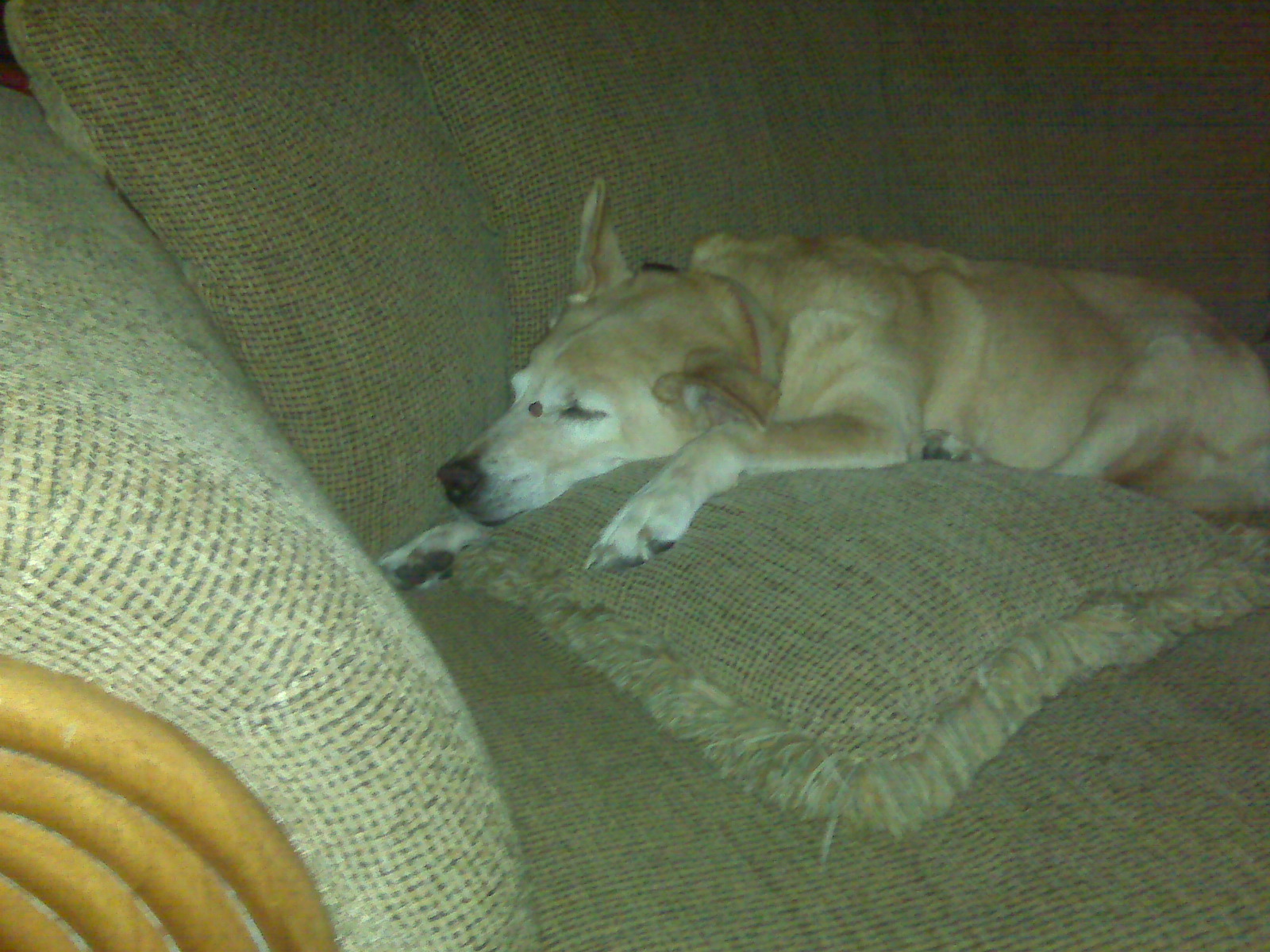 [=?utf-8?B?SU1HMDAxNTYuanBn?=-772558]