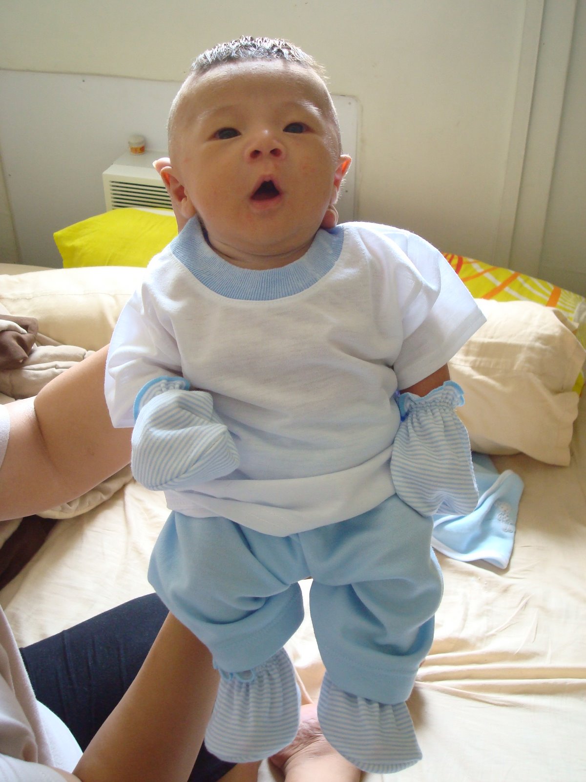 [DSC02947.JPG]