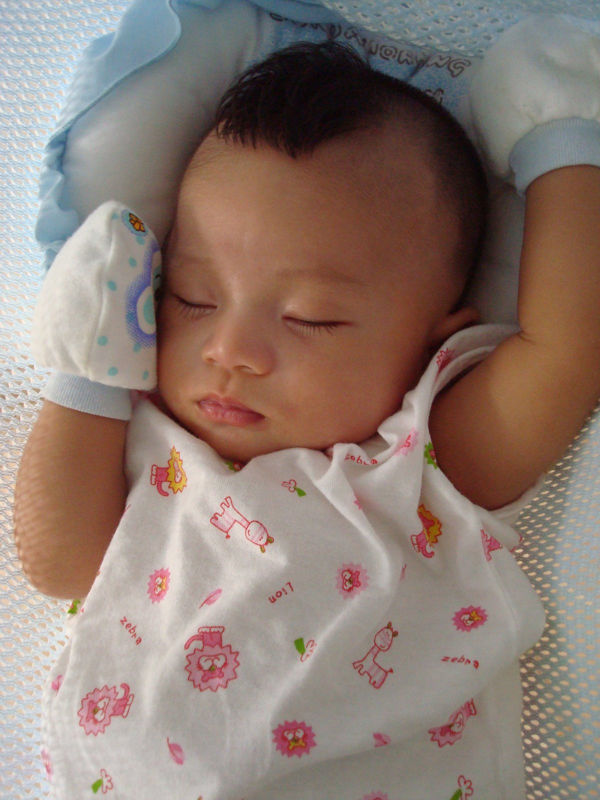 [DSC03161.JPG]