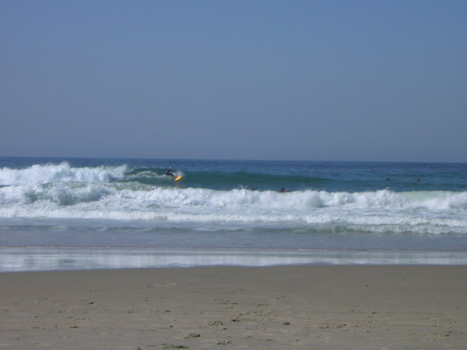 Soft Roller at Salt Creek