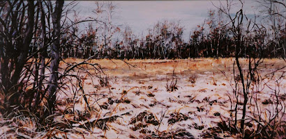 Moose Meadow, Winter