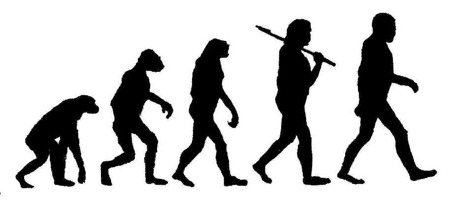 [evolution.jpg]