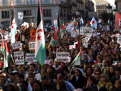 Manifestación Madrid