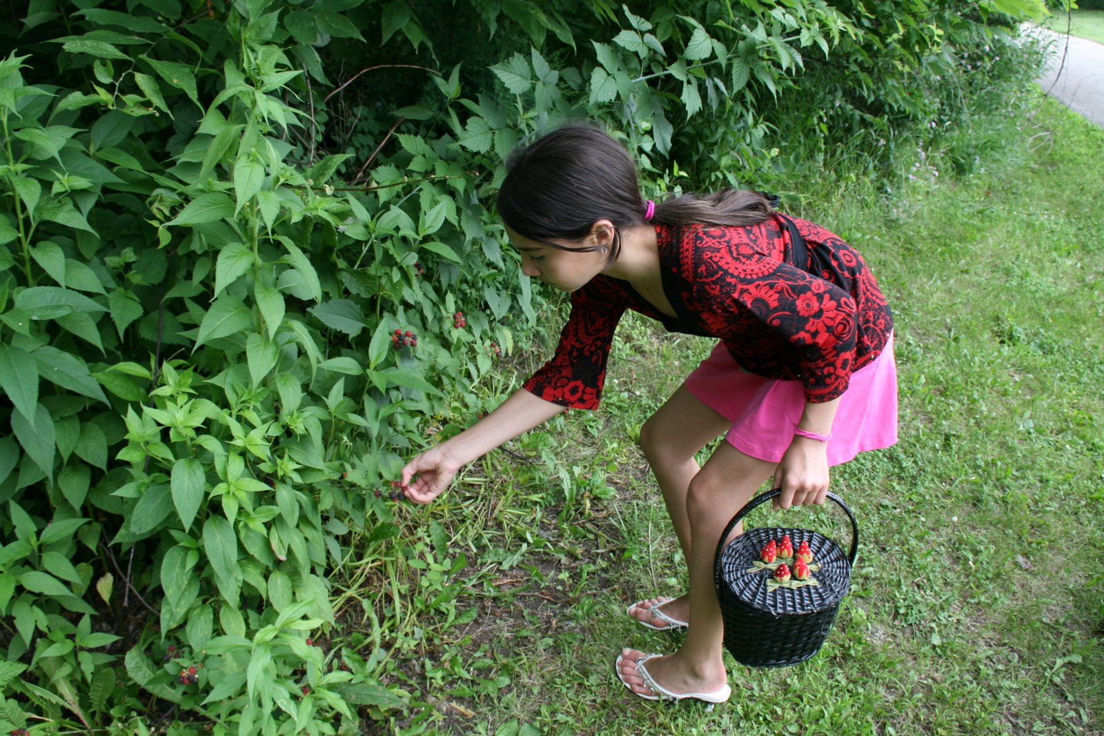 [Raspberries+Riper+2.jpg]