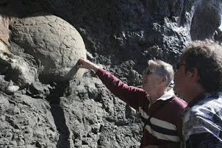 State paleontologist William Orr (left) and Bill Hanshumaker of the Hatfield Marine Science Center examine the object that may be a fossilized turtle. Photo by Lori Tobias/The Oregonian