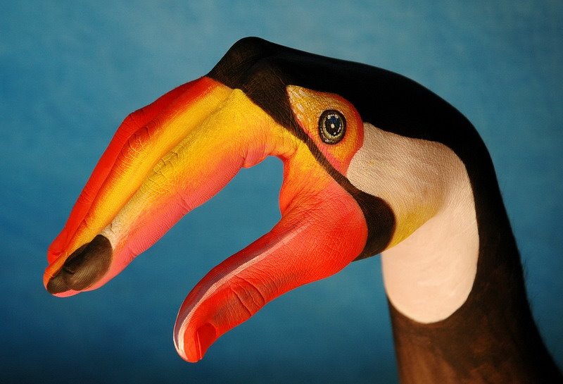[bird.bmp]