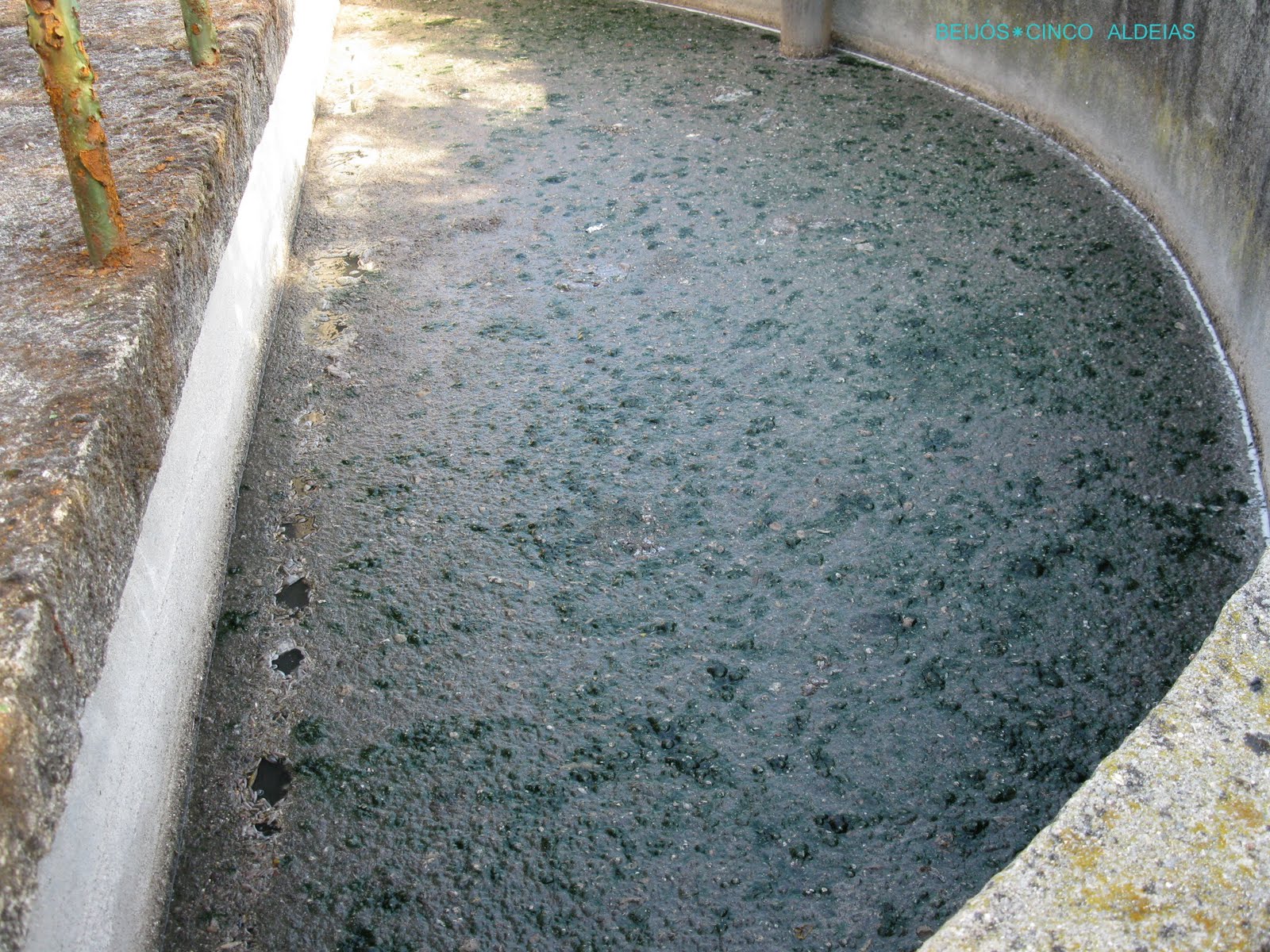 [20090818_17.JPG]