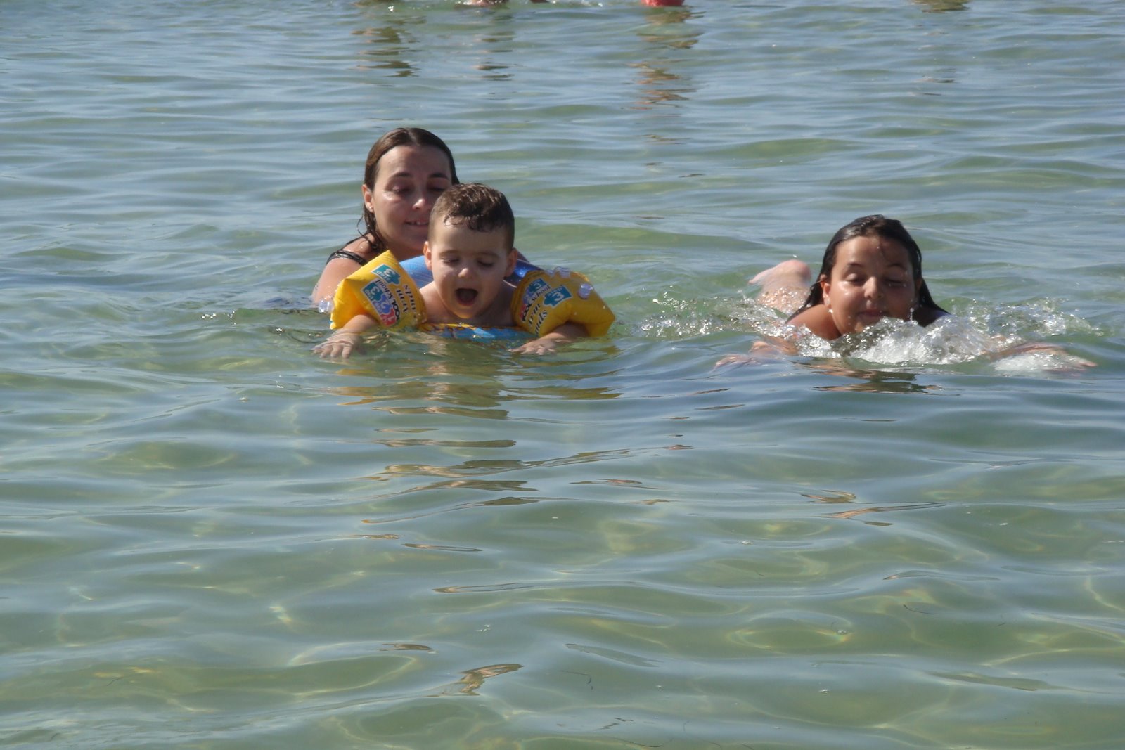 [DSC00593.JPG]