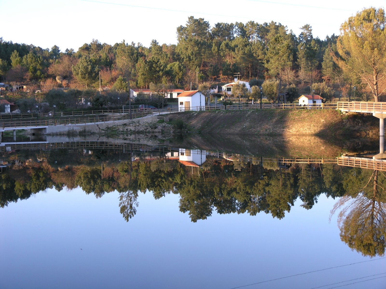 [P2128128.JPG]