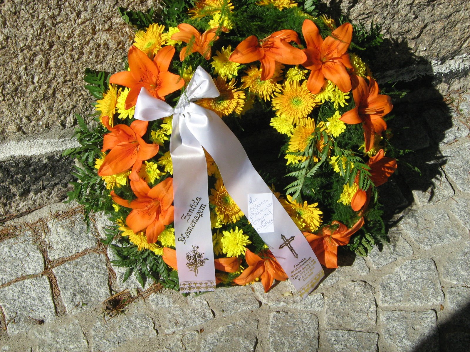 [Imagem+069.jpg]