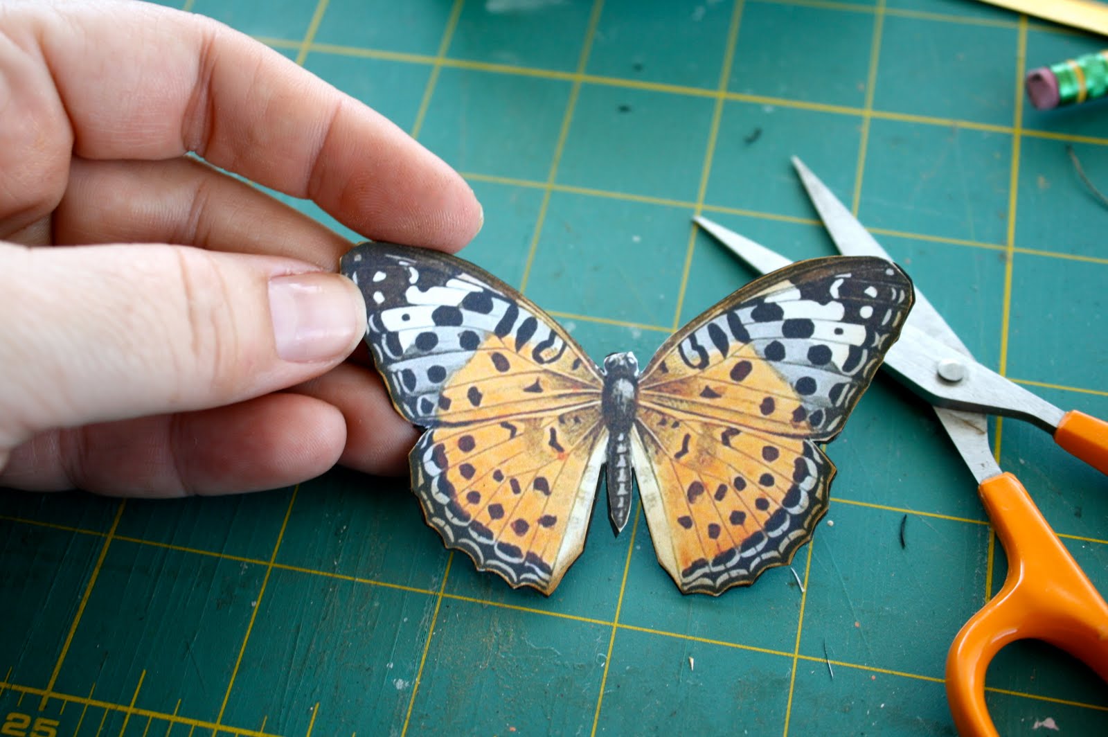 One Lucky Day Butterfly Box