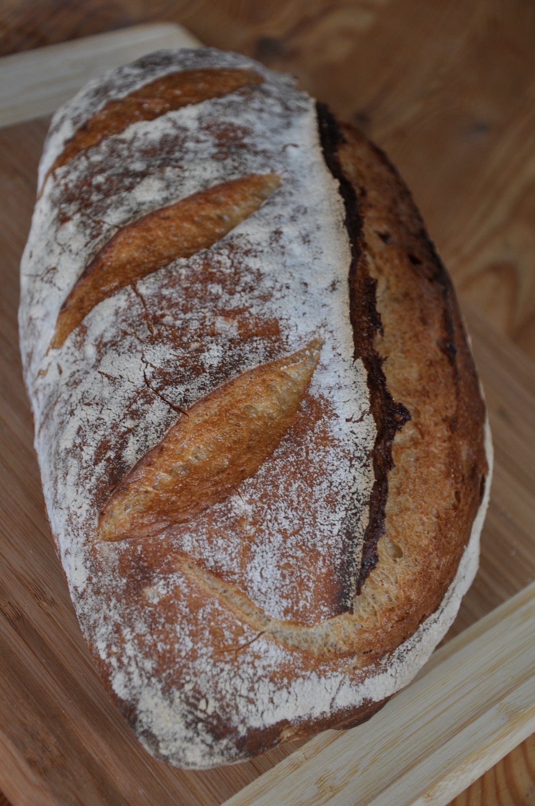 [pain+de+campagen+2-1.jpg]