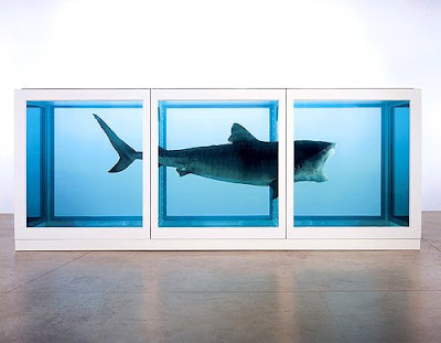 Damien Hirst shark, like Mies Farnsworth House