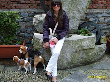 prima passeggiata a Laveno!