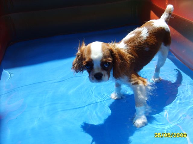 piscinetta!