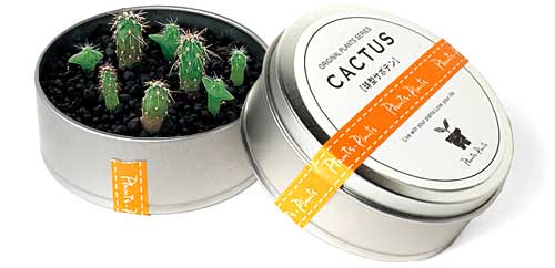 [cactus-in-a-can.jpg]
