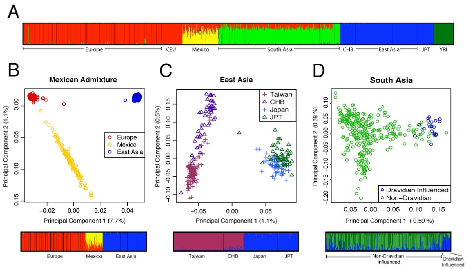 [structure_auton.jpg]