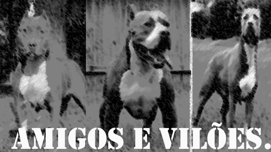 amigos e vilões