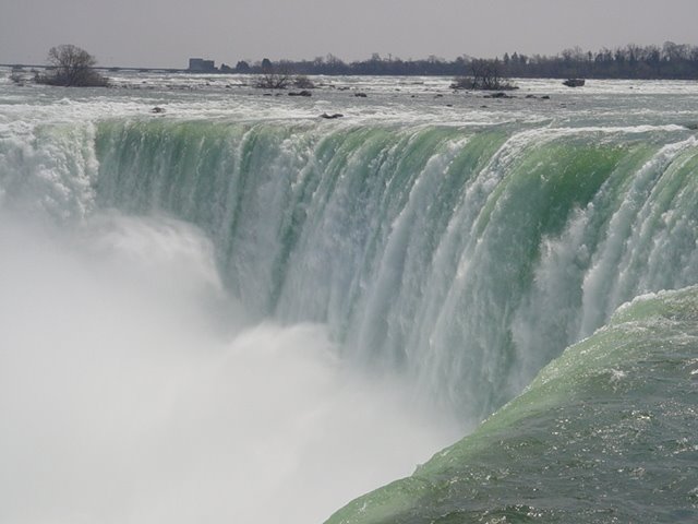 [DSC01779.JPG]