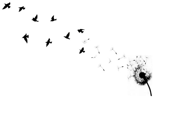 black ird tattoo. small bird tattoo. black ird tattoo.