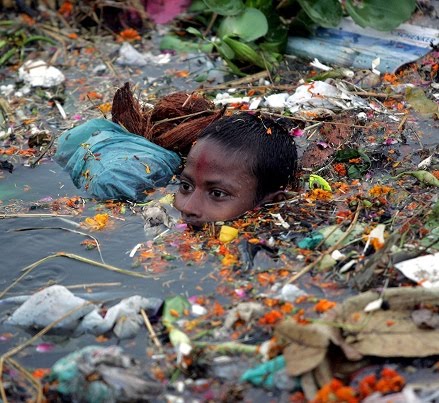 term paper environmental problem term paper environmental problem