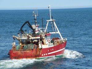 [FISH+-+Amity+II+rear.jpg]