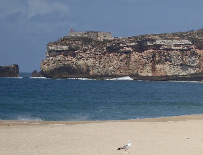 Praia da Nazaré