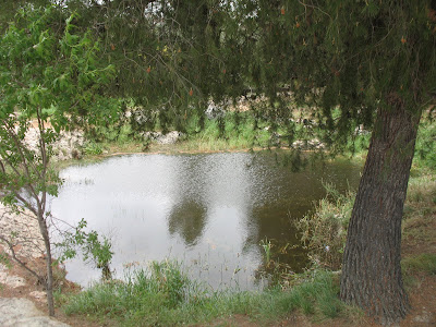 still pond jewish single women Daily jewish quotes prayer search words for weary mothers a still pond on one side, the watching shepherd on the other. still pond jewish single women Daily jewish quotes prayer search words for weary mothers a still pond on one side, the watching shepherd on the other.