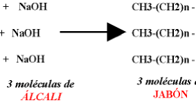 cadenas carbonadas cortas comisi 243 n de biodiesel grupoqo10 universidad de huelva cadenas carbonadas cortas comisi 243 n de biodiesel grupoqo10 universidad de huelva