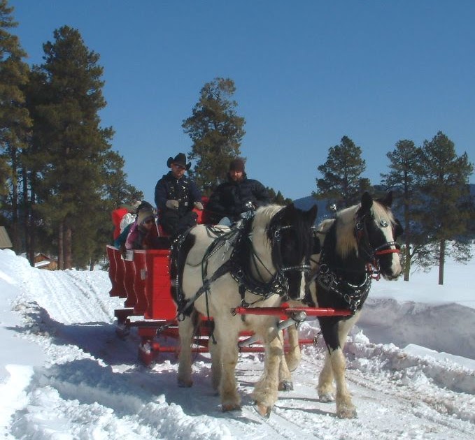 OUTDOORS NM The Valles Caldera Offers Sleigh Rides, Cross Country