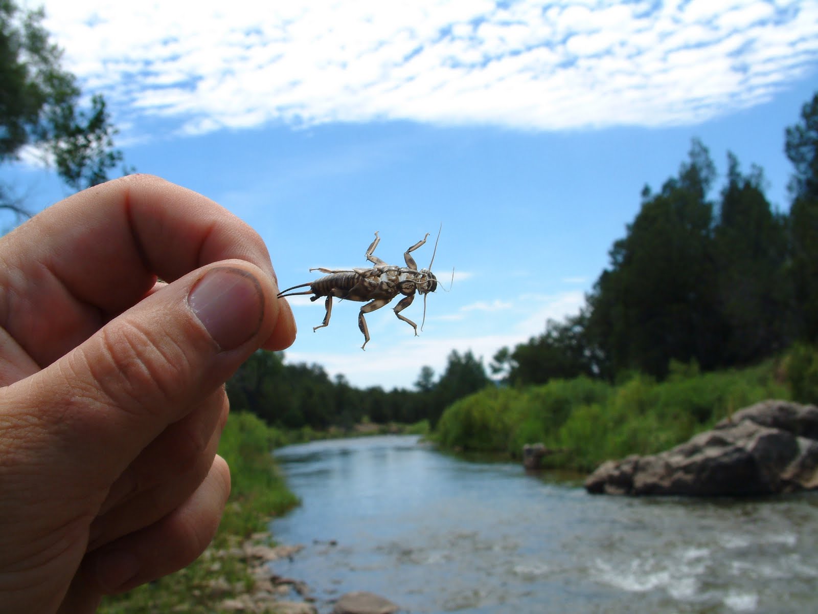 arts report conclusion