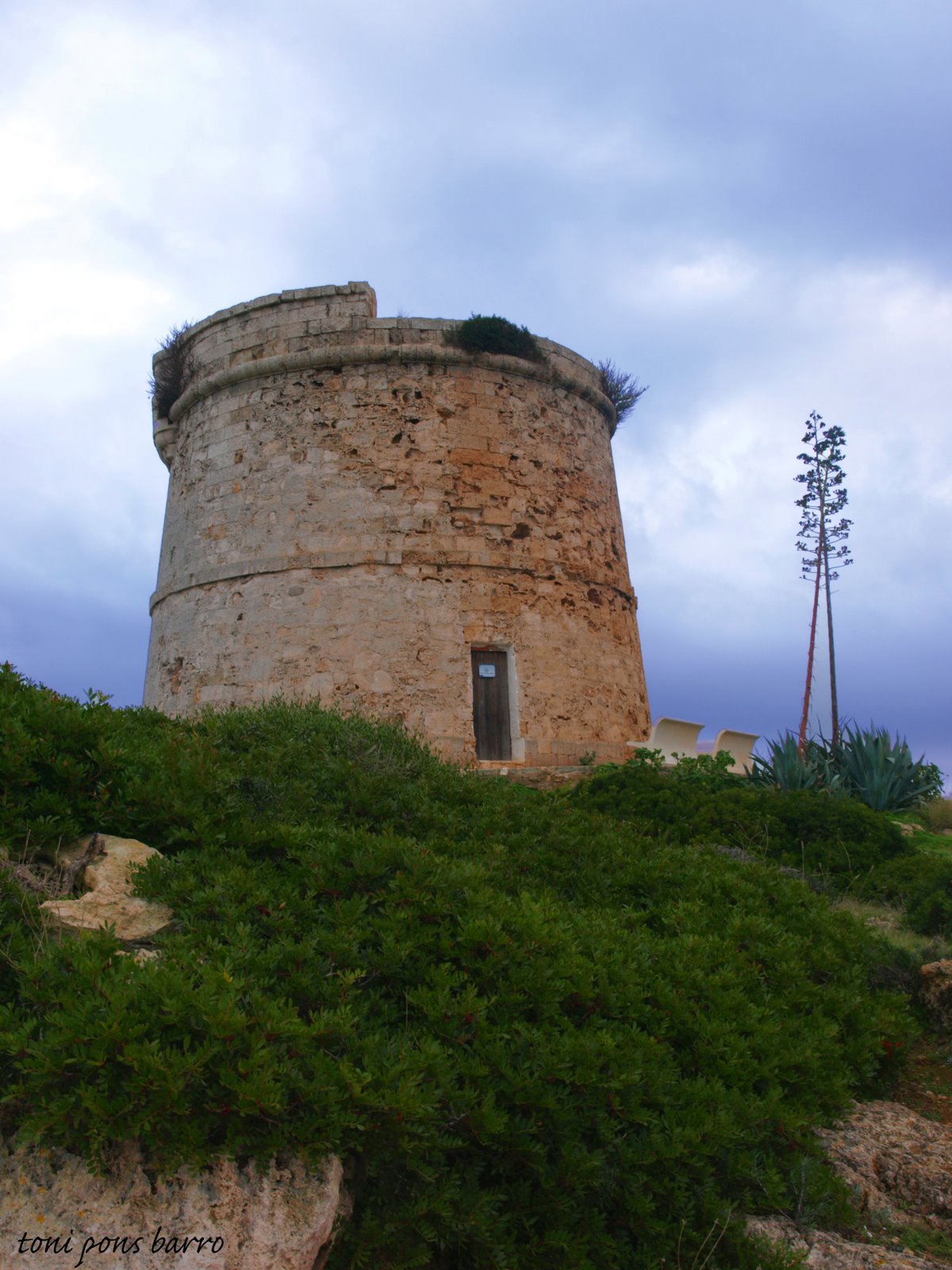 [PC086650.JPG]