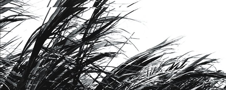[image002.bmp]