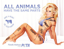 Campaña de PETA