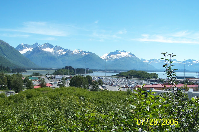 Valdez 2006
