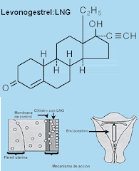 Levonogestrel