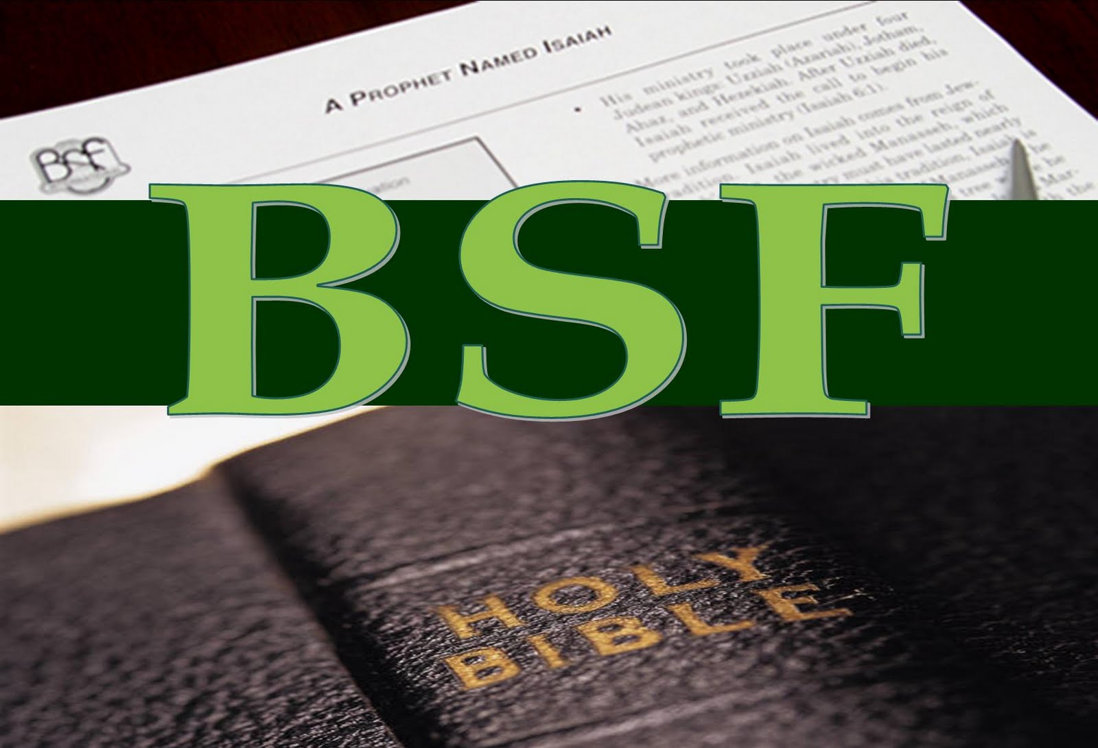 Bsf International Download Questions