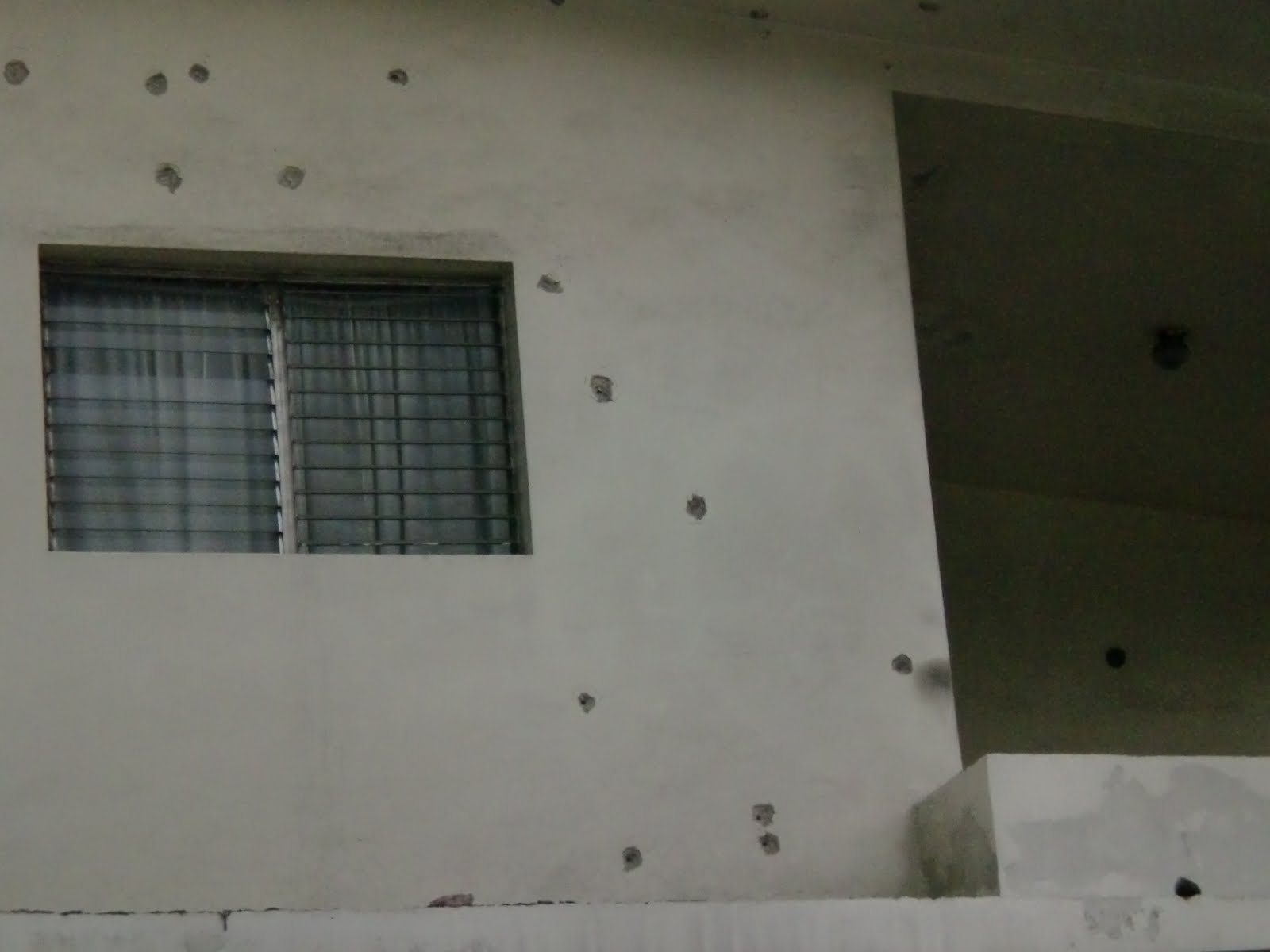 [CIMG0010.JPG]