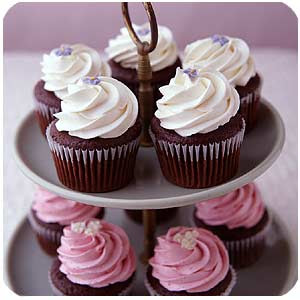 http://2.bp.blogspot.com/_rurEHssmyaM/Smf-oqai4jI/AAAAAAAABTo/qUo6UIKYSPk/s400/cupcakes