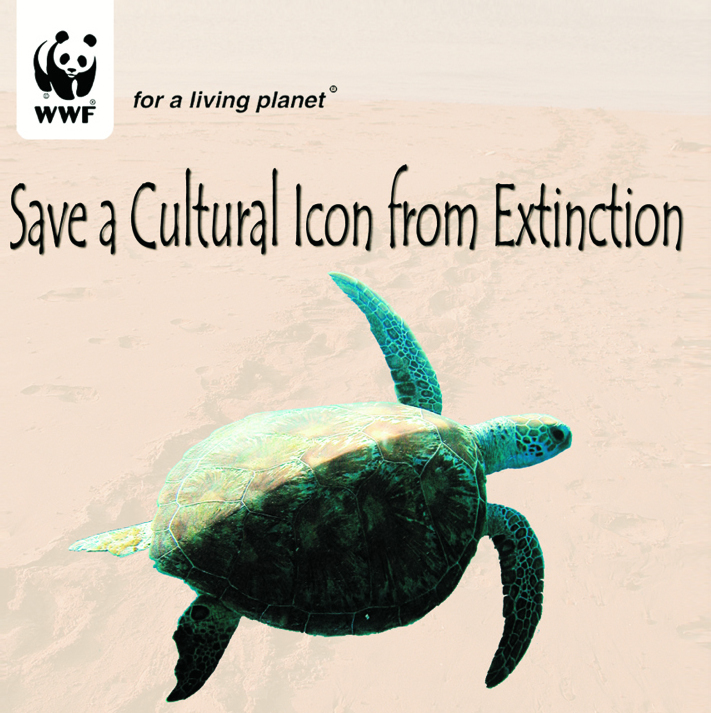 [poster_turtleIcon+p+large-1.jpg]