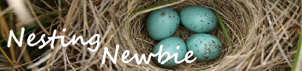 Nesting Newbie