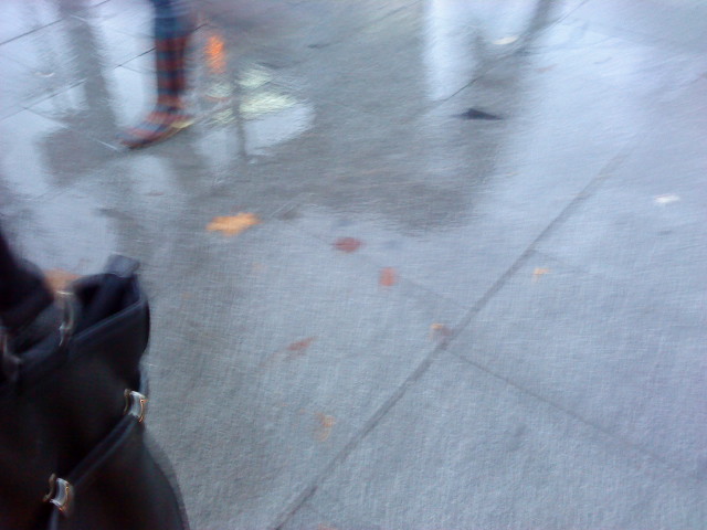 .En busca de la felicidad: enero 2011