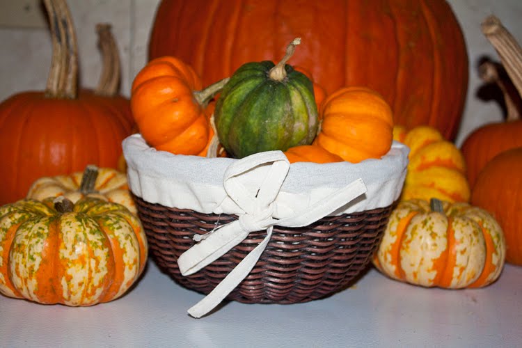 The Basket Lady Review***