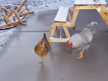 Dancin' in the snow