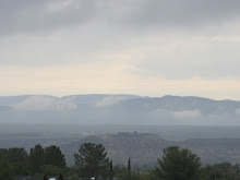 Foggy mountain morning