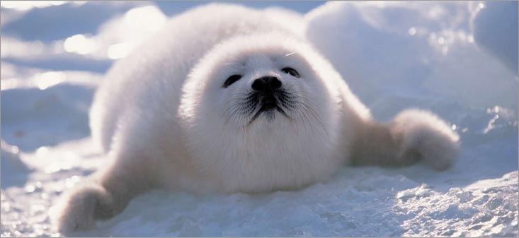 Welcome to December peeps. xD.