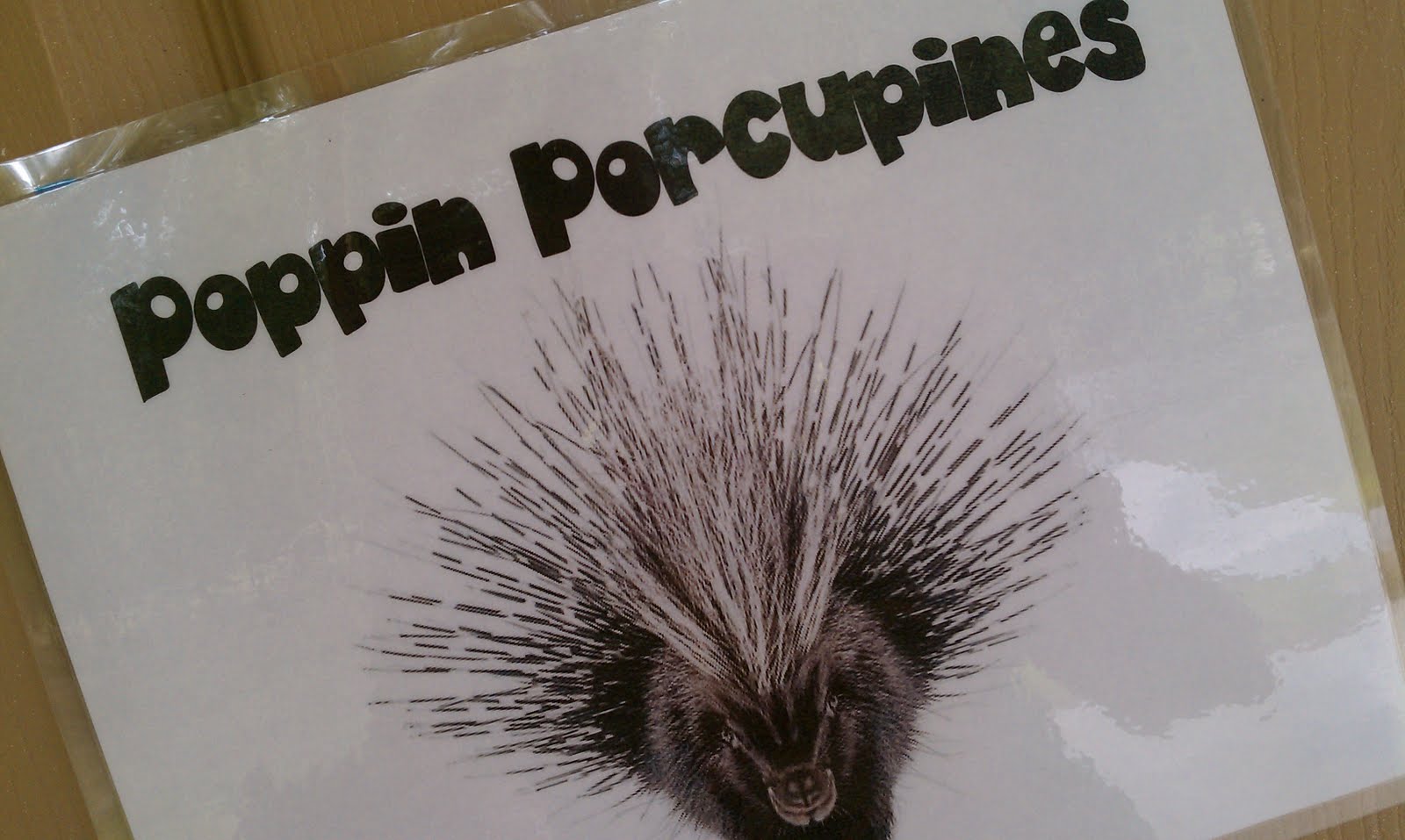 christian singles in porcupine Plugged in exists to “even though i don’t consider myself a christian, i find your plugged in web after mowgli is inadvertently pricked by a porcupine. christian singles in porcupine Plugged in exists to “even though i don’t consider myself a christian, i find your plugged in web after mowgli is inadvertently pricked by a porcupine.