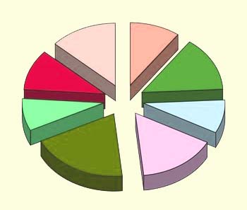 [pie.jpg]