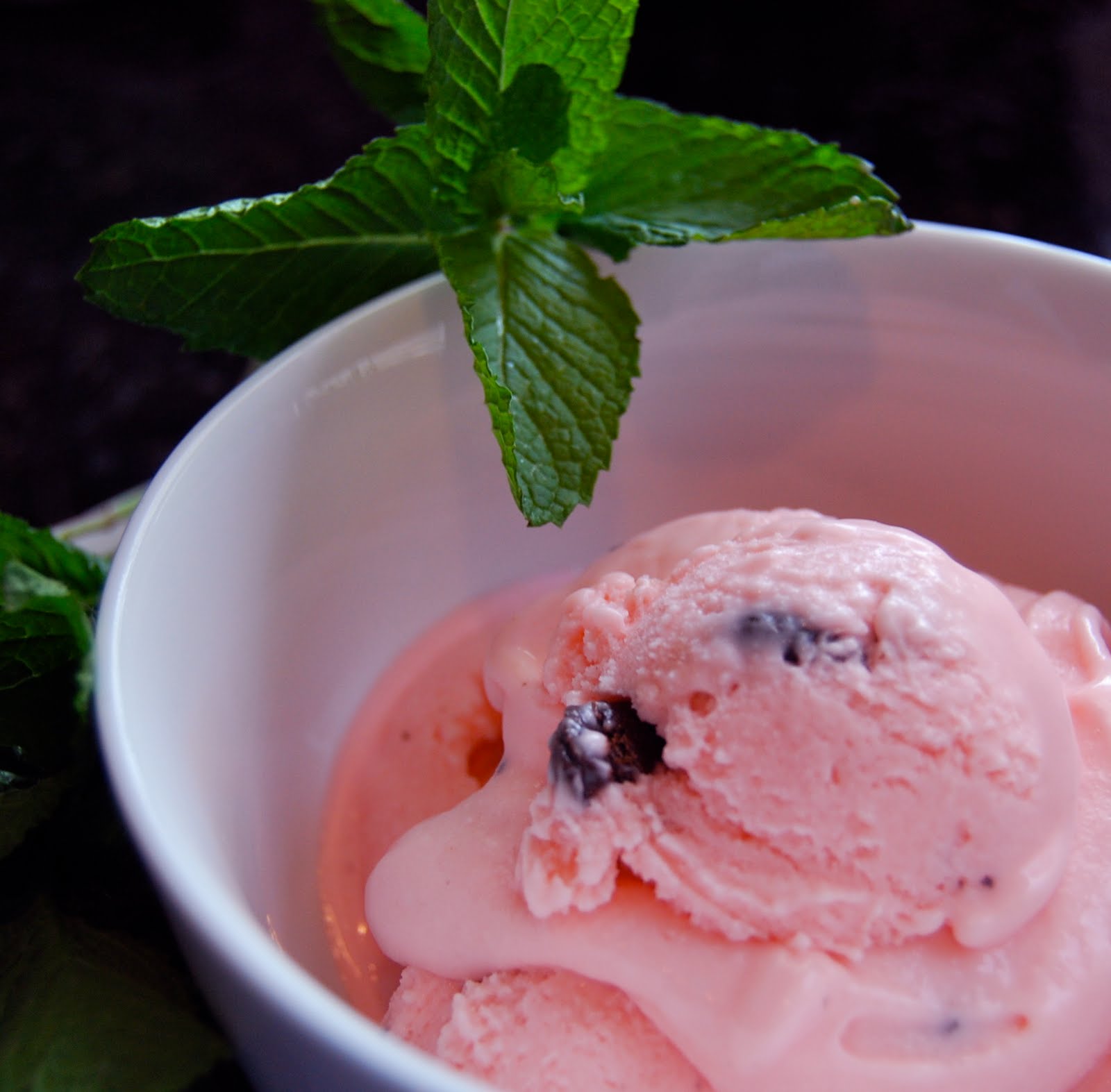 Junior Mint Ice Cream