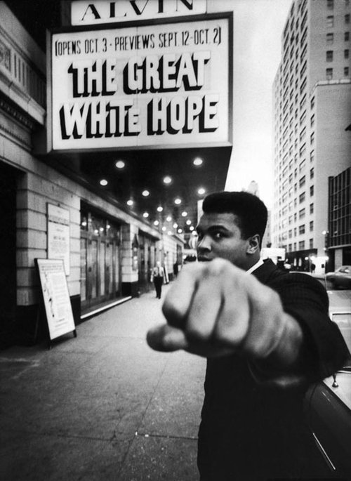 [unqiTqQtFn4gc5hzPIeObq4do1_500.jpg]